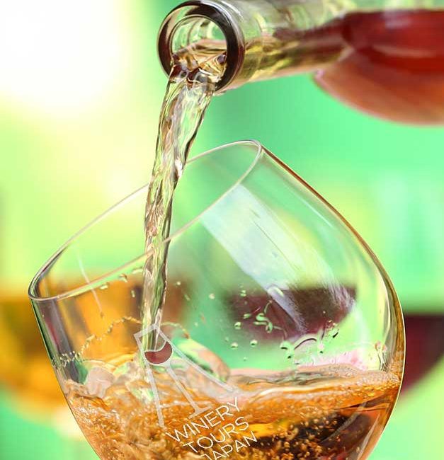 Winery Tours Japan Koshu Wine tasting in Katsunuma Yamanashi