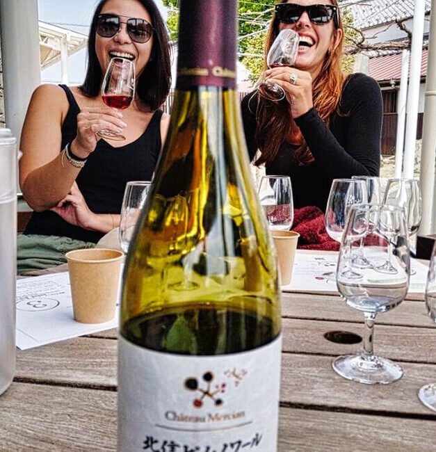 Enjoy a private wine tasting tour in Yamanashi, savor farm-to-table cuisine, meet local winemakers, and explore historic Katsunuma wineries on a Japan wine tour.
