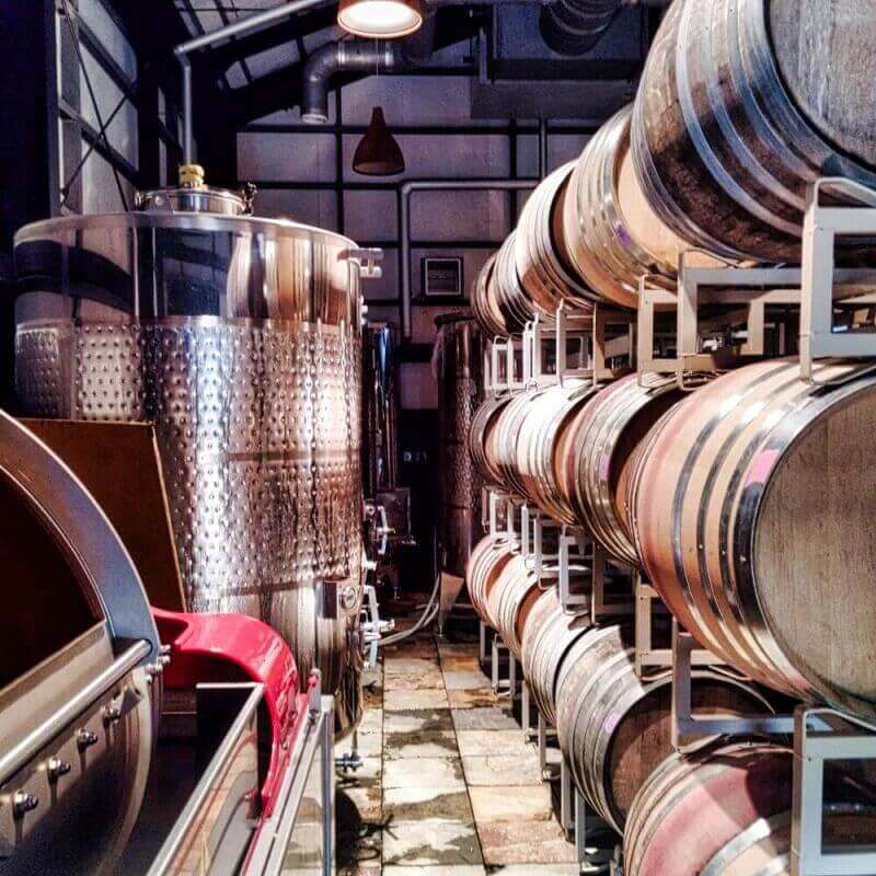 Guests exploring a traditional wine cellar in Yamanashi