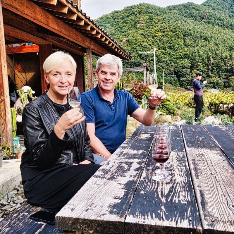 Scenic view of Yamanashi vineyards with Mount Fuji in the background.