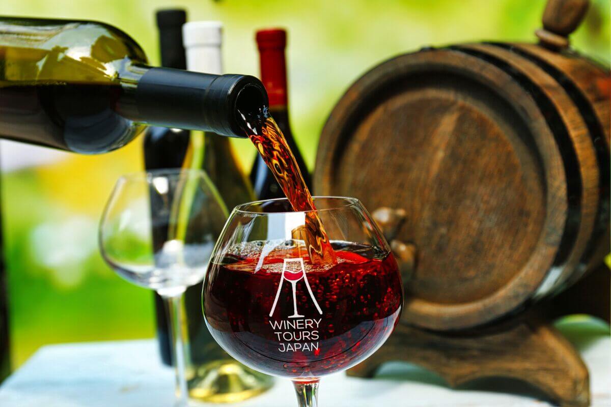 Enjoy a private wine tasting in Yamanashi, savor farm-to-table cuisine, meet local winemakers, and explore historic Katsunuma wineries.