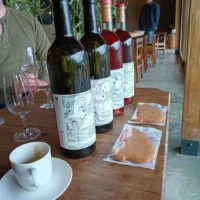 Four Japanese wines, tasting glasses and local snacks during a Winery Tours Japan visit to 98WINEs.